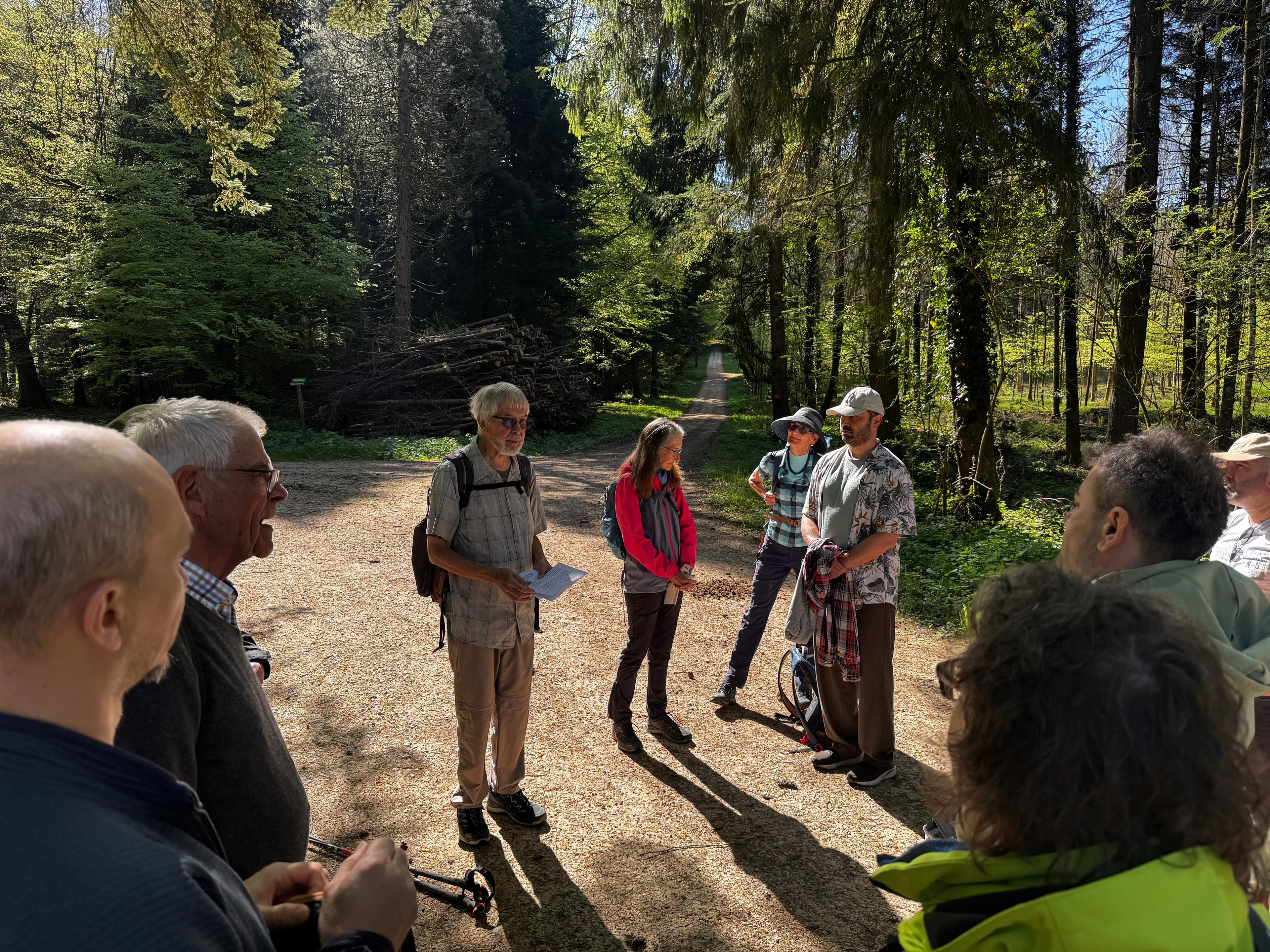 Pilgerweg - Wald Szenerie